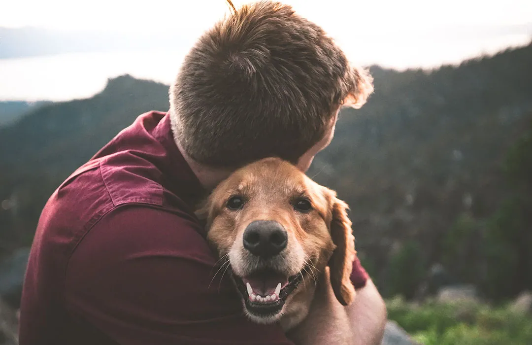 Pet Loss Coach Training Online How to Build a Compassionate and Meaningful Career
